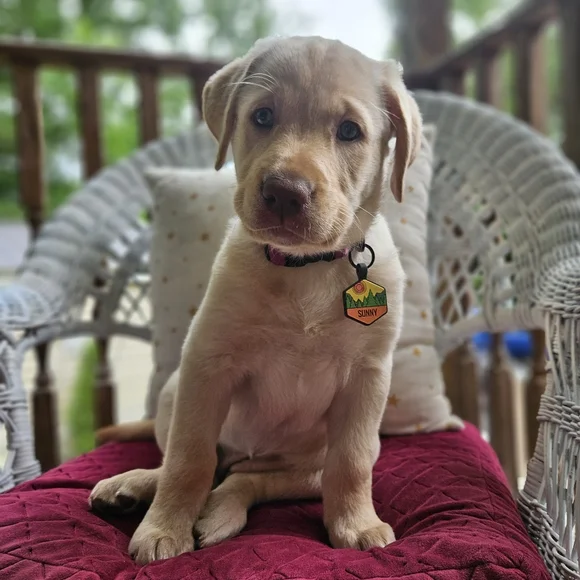 WELCOME ♡ - Picture 8 of 10